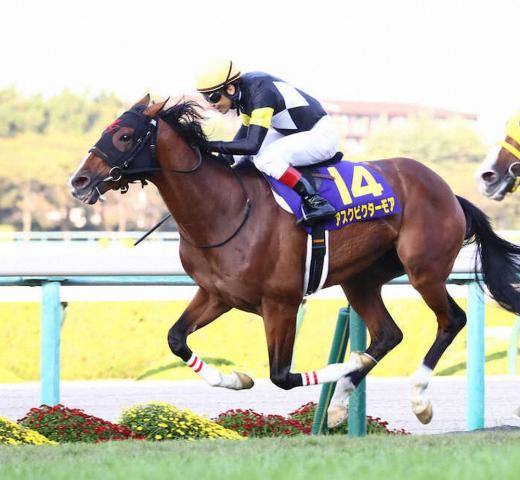 2022年の菊花賞馬アスクビクターモア