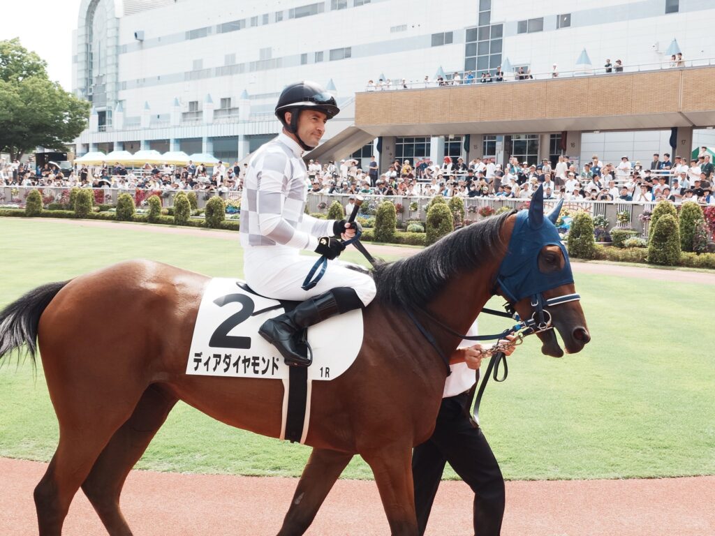 【一口馬主】インゼルのディアダイアモンド