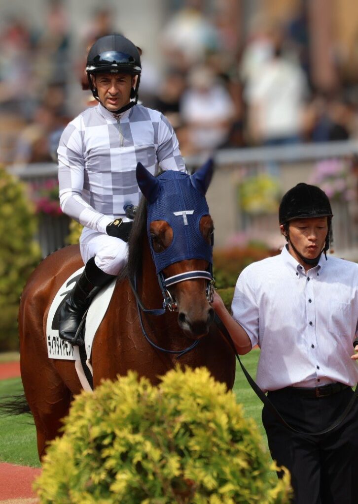 【一口馬主】インゼルのディアダイアモンド2