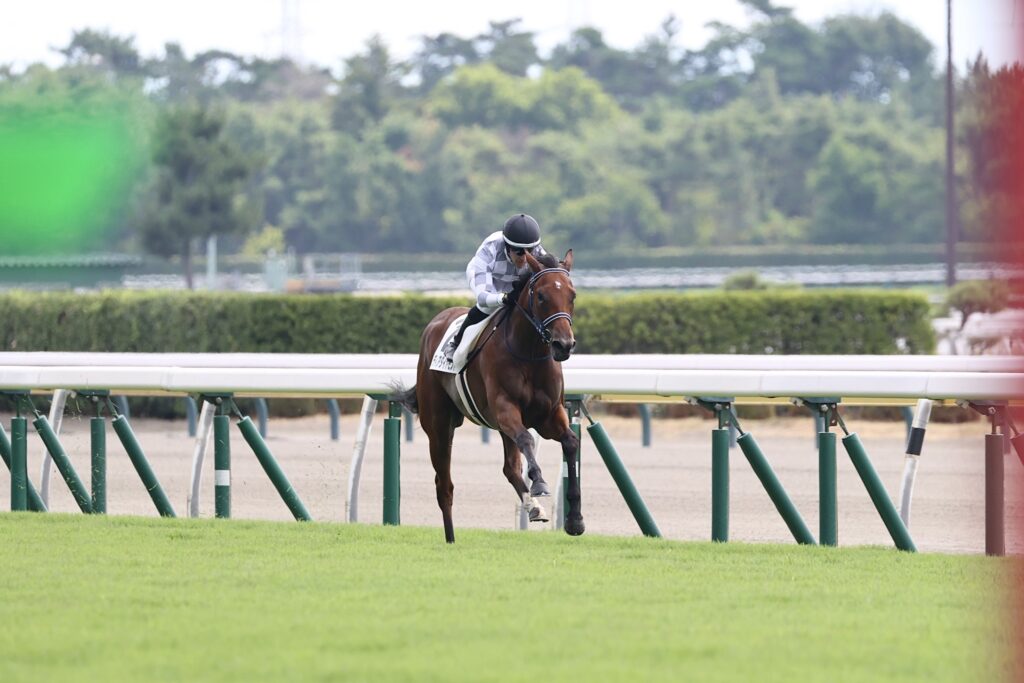 【一口馬主】インゼルのディアダイアモンド4