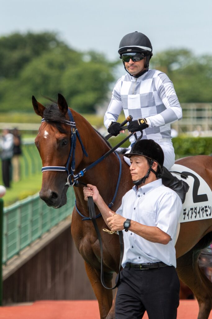 【一口馬主】インゼルのディアダイアモンド4