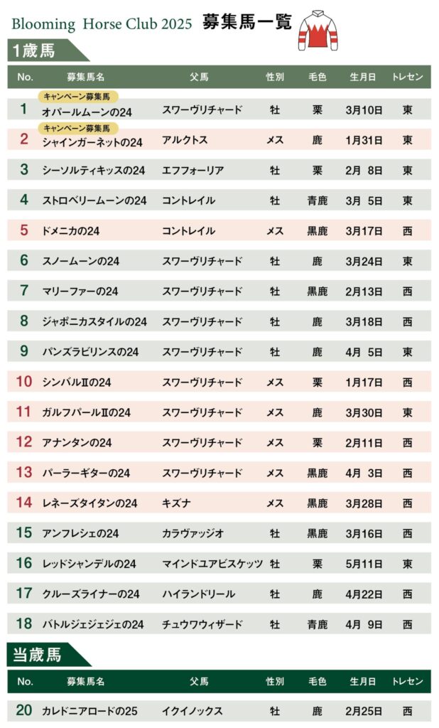 【競馬まとめサイト】ブルーミングホースクラブ勝負服と募集馬一口馬主【５ちゃんねる２ちゃんねるニュース】
