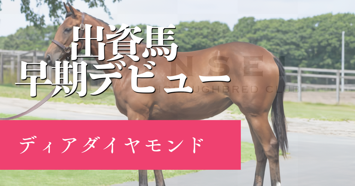 【一口馬主】インゼル出資馬ディアダイヤモンド_早期デビュー