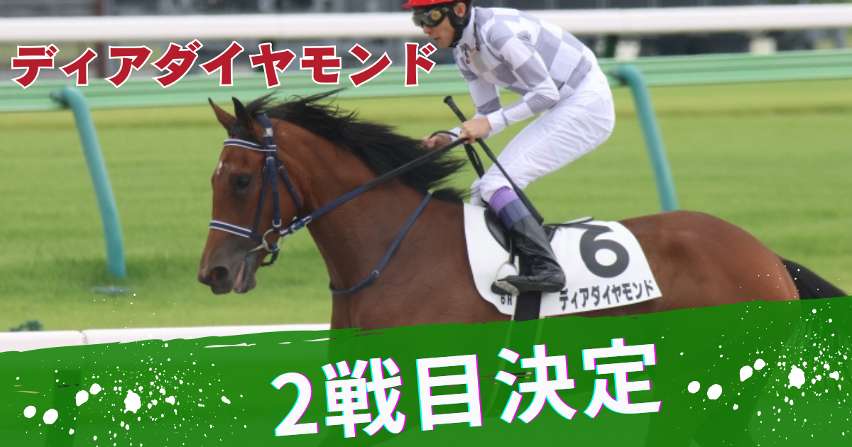 【一口馬主】インゼル_ディアダイヤモンド_2戦目