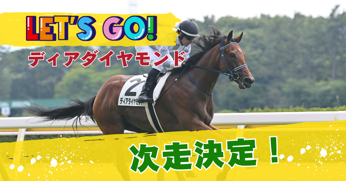【一口馬主】インゼルのディアダイヤモンドが次走決定