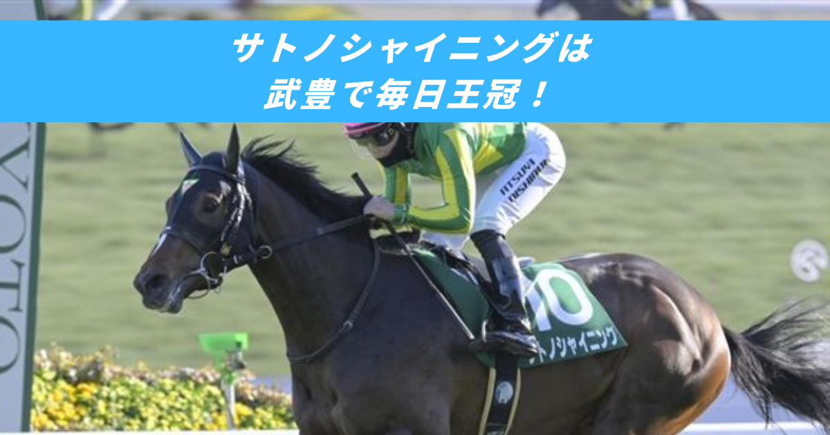【競馬5ちゃんねるまとめ】サトノシャイニング次走武豊毎日王冠【ニュース速報２ちゃんねる】
