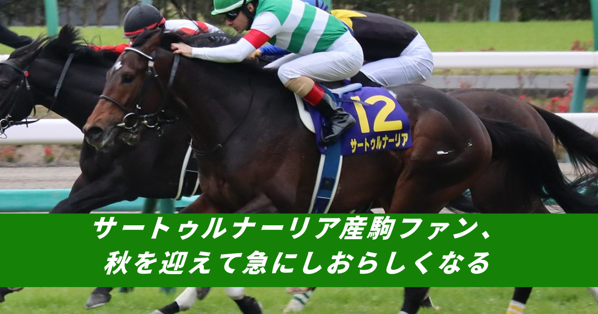 【競馬5ちゃんねるまとめ】サートゥルナーリア産駒シーザリオロードカナロア種牡馬キンカメ系【ニュース速報２ちゃんねる】