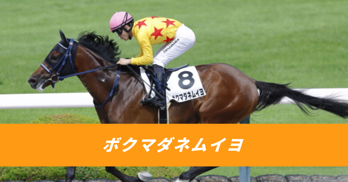 【競馬5ちゃんねるまとめ】ボクマダネムイヨ西村淳也珍名馬新馬戦勝利【ニュース速報２ちゃんねる】