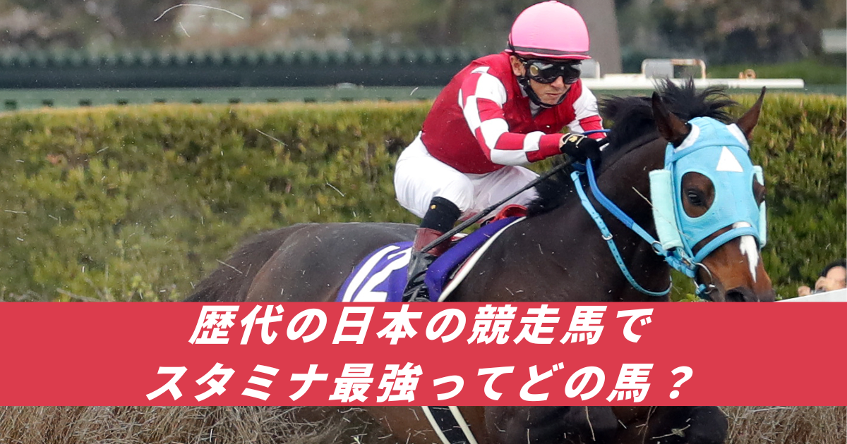 【競馬5ちゃんねるまとめ】歴代の競走馬スタミナ最強レース数長距離春天【ニュース速報２ちゃんねる】