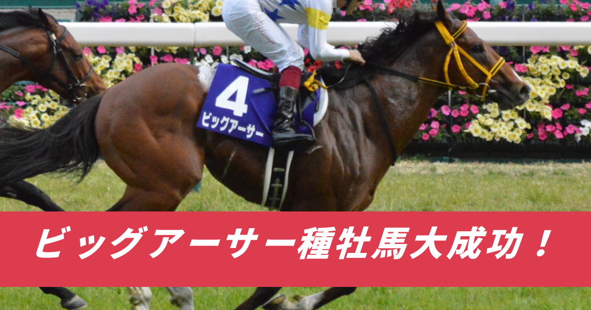 【競馬まとめ】ビッグアーサー種牡馬大成功