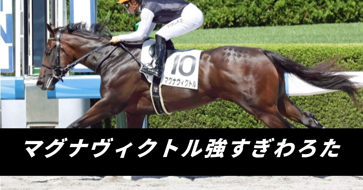 マグナヴィクトル強すぎわろた