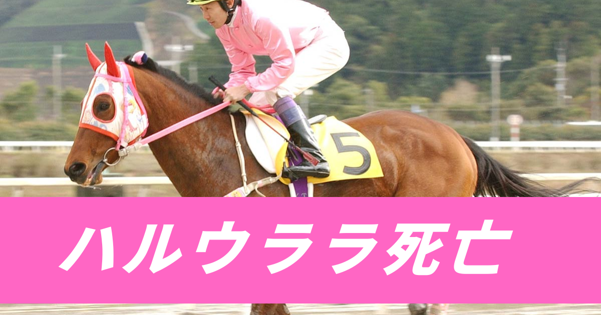 【競馬まとめサイト】ハルウララ死亡_高知競馬のアイドルホース