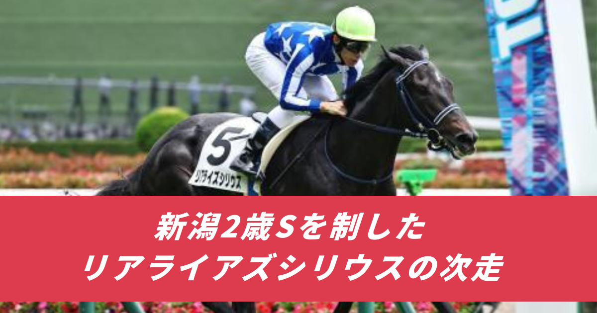 【競馬まとめサイト】リアライズシリウス新潟２歳S次走予定