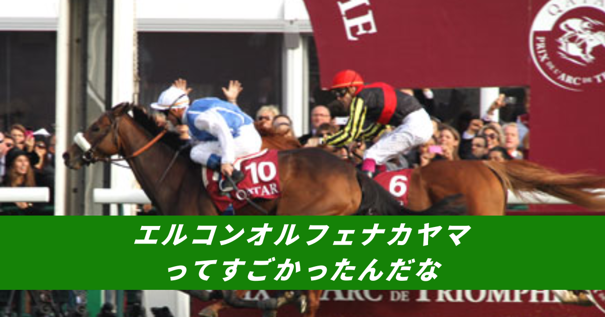 【競馬5ちゃんねるまとめ】2025凱旋門賞オルフェーヴルエルコンドルパサーナカヤマフェスタ【ニュース速報２ちゃんねる】