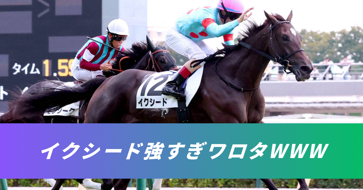 【競馬5ちゃんねるまとめ】イクシード強すぎ新馬戦イクイノックス全妹【ニュース速報２ちゃんねる】