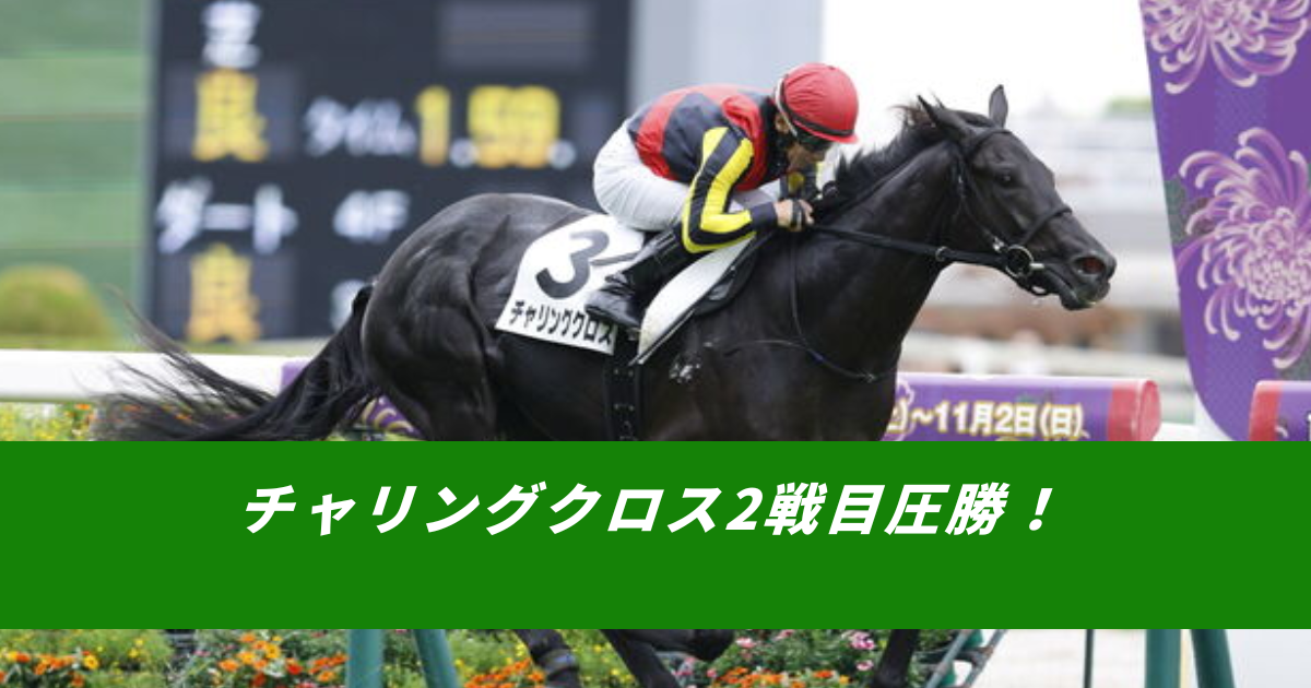 【競馬5ちゃんねるまとめ】チャリングクロス２戦目圧勝クロワデュノール全弟【ニュース速報２ちゃんねる】