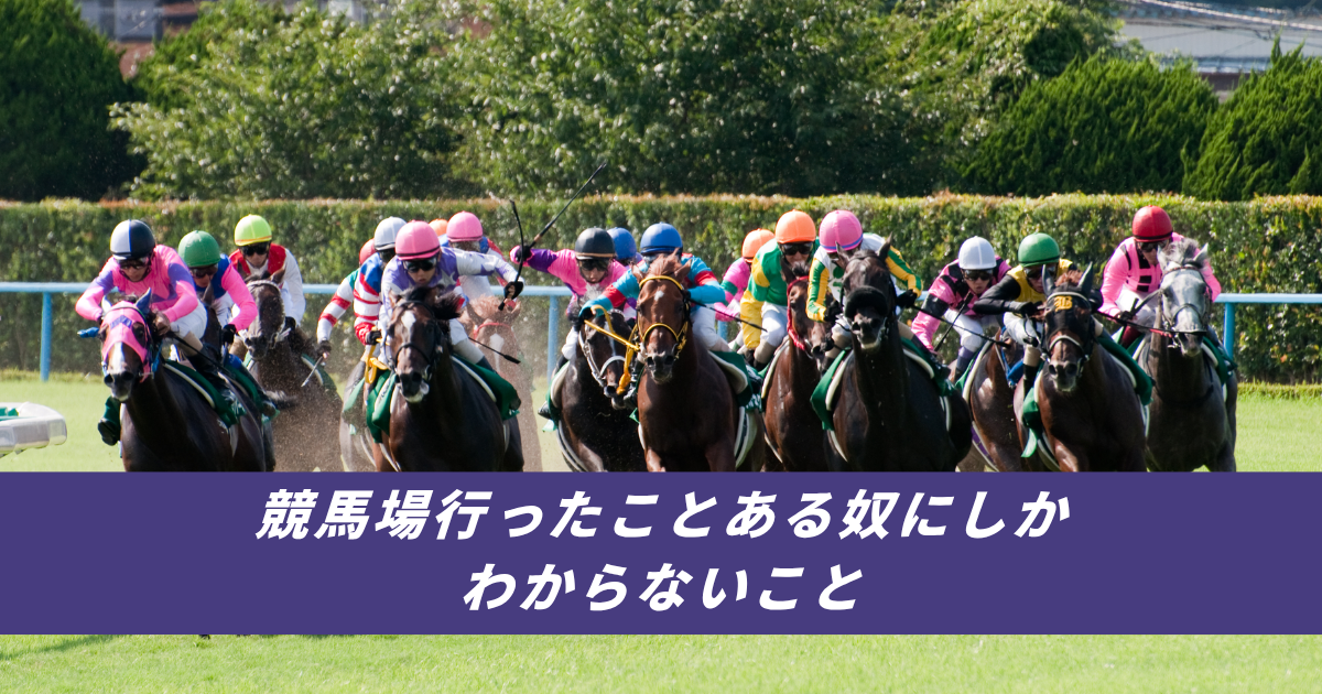 【競馬5ちゃんねるまとめ】競馬場行ったことある奴にしかわからないことパドック払戻金【ニュース速報２ちゃんねる】