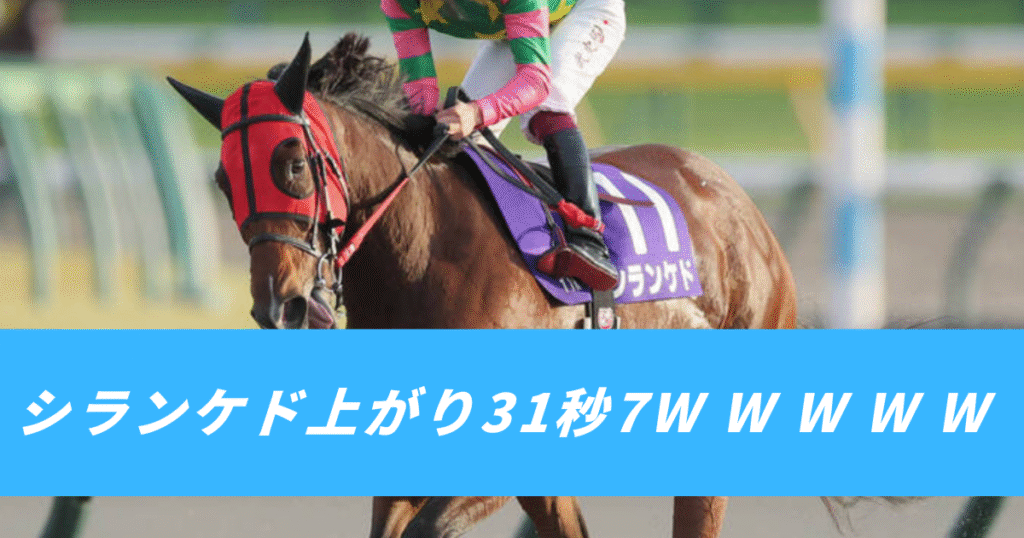 【競馬まとめ】天皇賞秋シランケド上がり31秒7最速の末脚_横山武史